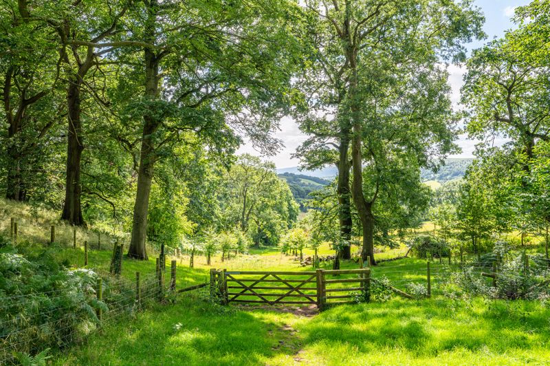 Land- click for photo gallery